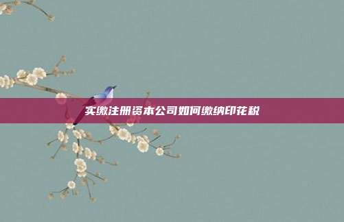 實(shí)繳注冊(cè)資本公司如何繳納印花稅